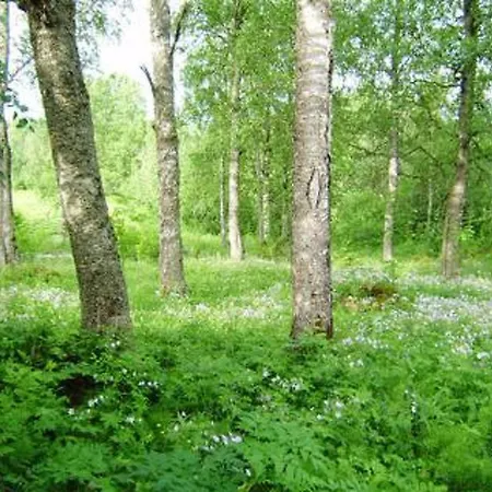 Villiruusu By Interhome Nieminen (Vierema, Northern Savonia)