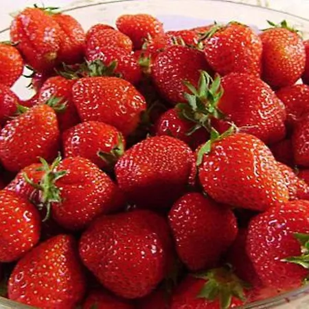 Casa vacanze Villiruusu By Interhome Nieminen (Vierema, Northern Savonia)