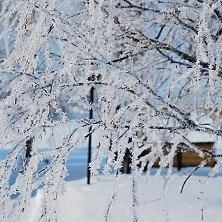 Villiruusu By Interhome *