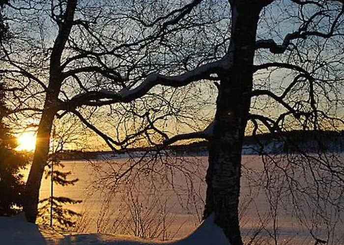 Villiruusu By Interhome *