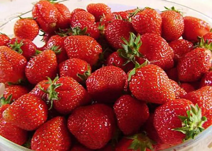 Villiruusu By Interhome 度假居 Nieminen (Vierema, Northern Savonia)