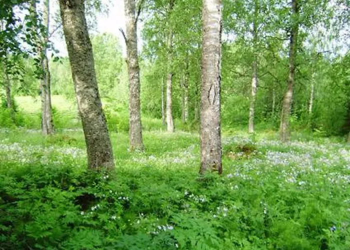 Villiruusu By Interhome Nieminen (Vierema, Northern Savonia)