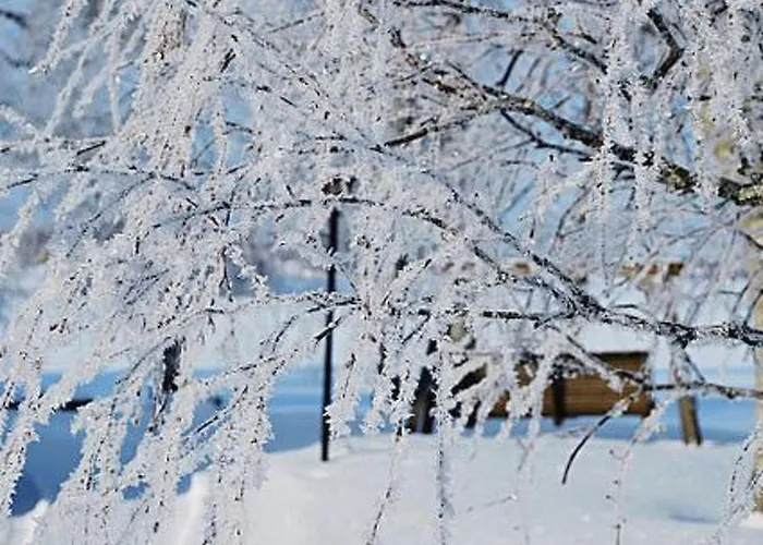 度假居 Villiruusu By Interhome *